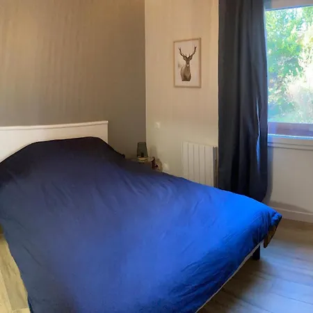 Logement Vue Montagne *